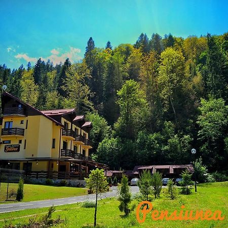 Pensiunea Geona Poiana Teiului Esterno foto