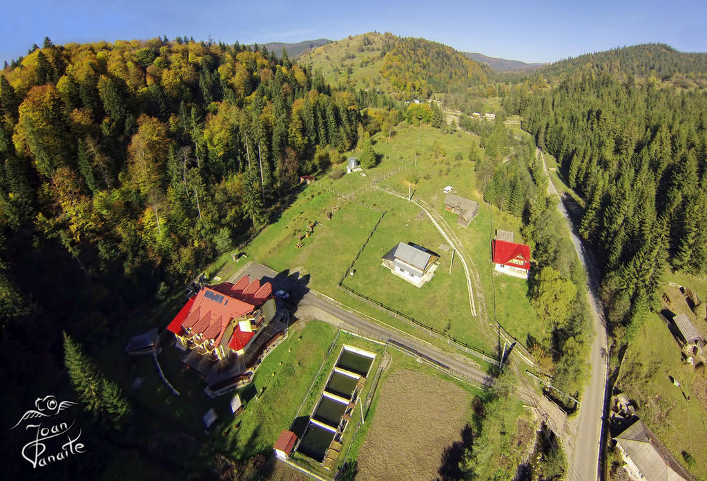 Pensiunea Geona Poiana Teiului Esterno foto