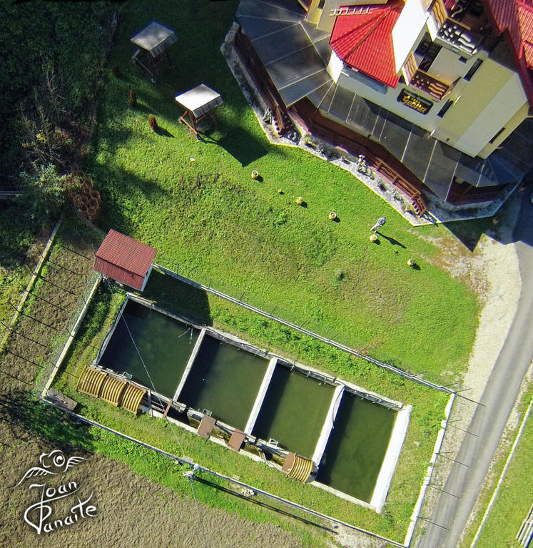 Pensiunea Geona Poiana Teiului Esterno foto