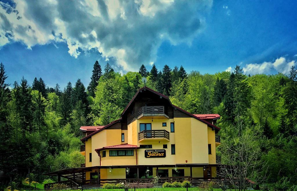 Pensiunea Geona Poiana Teiului Esterno foto