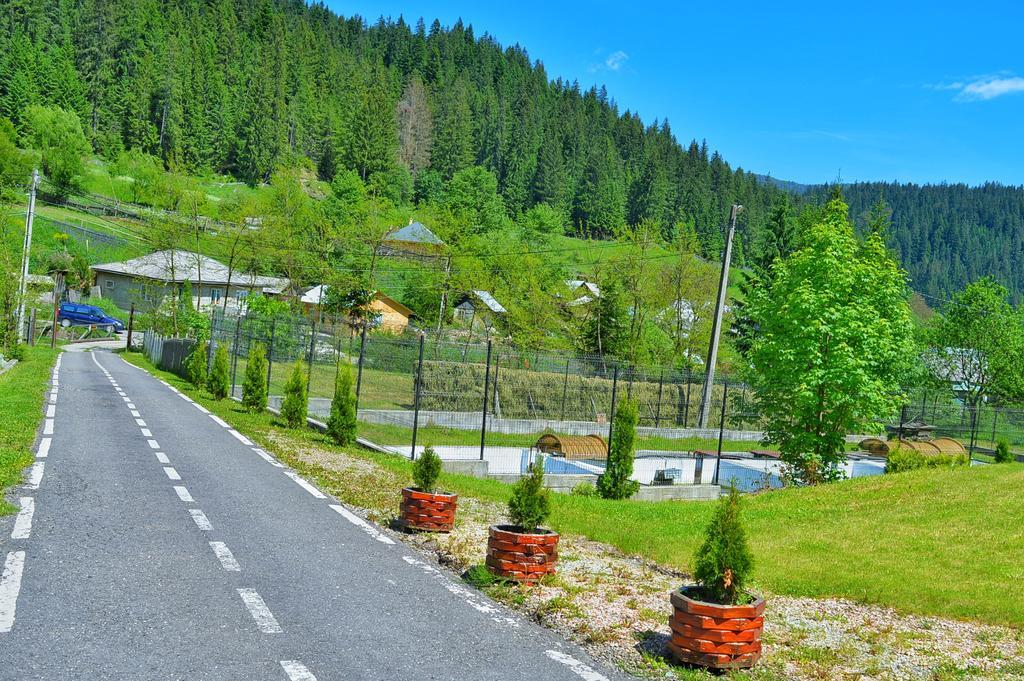 Pensiunea Geona Poiana Teiului Esterno foto